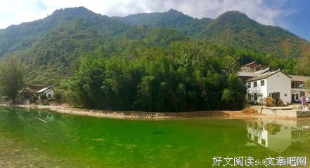《摇摆画廊》好看吗？经典观后感锦集