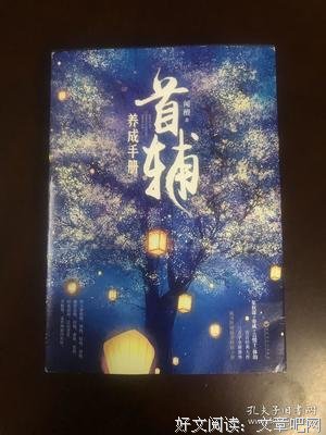 首辅养成手册读后感1000字