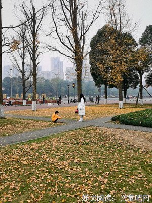 《母女情深》经典影评集