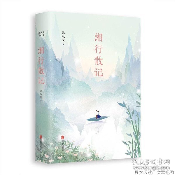 复明症漫记经典读后感有感