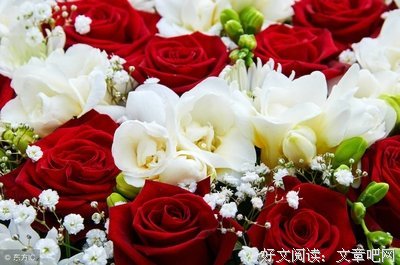 心情优美的句子