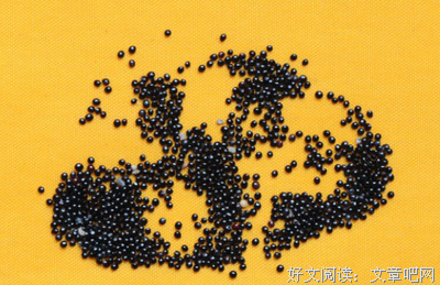 青葙子名言