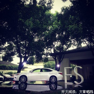 《鸟鸣》观后感精选