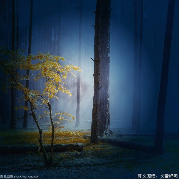《迷雾》经典影评1000字
