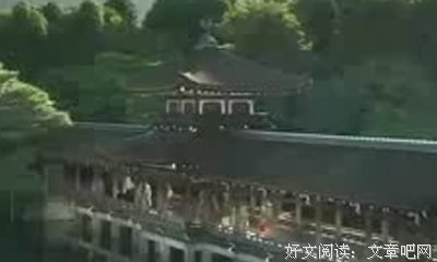 《大奥第一章》影评100字