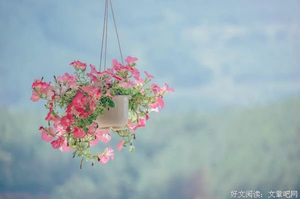 岁月是一指流沙，苍老是一段年华