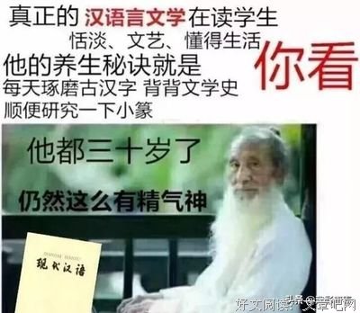 混乱读后感100字