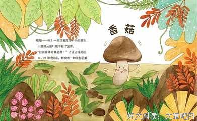 《少吃点，毕竟那又不是爱》读后感1000字