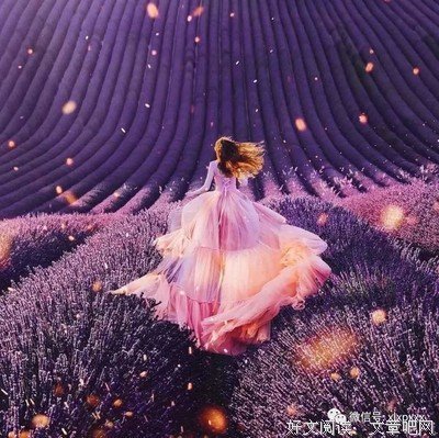 颠覆者读后感100字