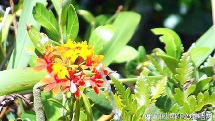 15条关于勾心斗角的经典语句