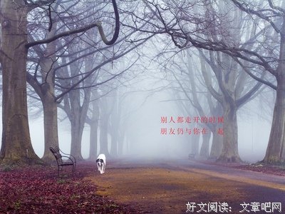 关于岁岁年年的唯美语录
