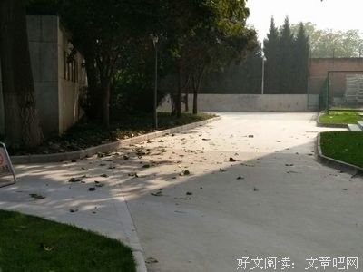 《人生如逆旅》的读后感大全