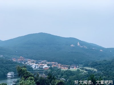 《茅山》的影评大全