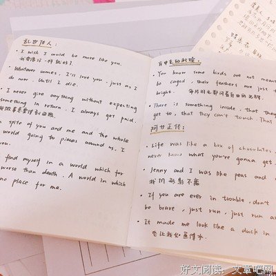 《美好事物》影评摘抄