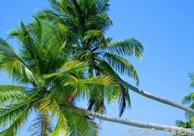 描写度日如年的经典句子