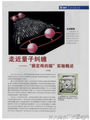 《薛定谔的猫》读后感100字