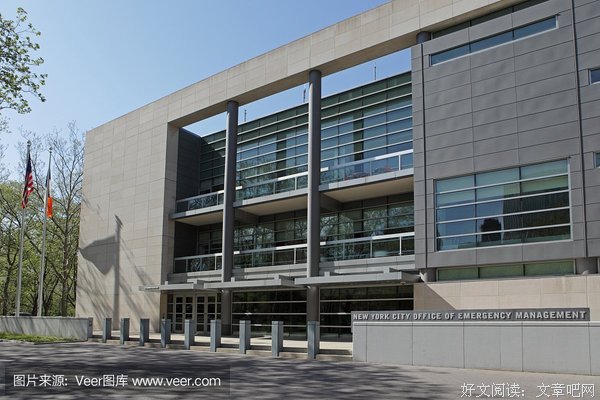 《布鲁克林警察》观后感100字