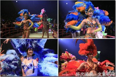 《马戏学校》的观后感大全