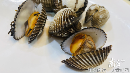 《正南方 第一季》经典影评集