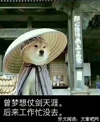 《钱从哪里来？》读后感100字