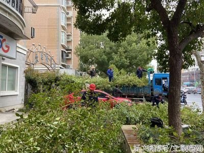 《卧虎藏龙》经典观后感1000字