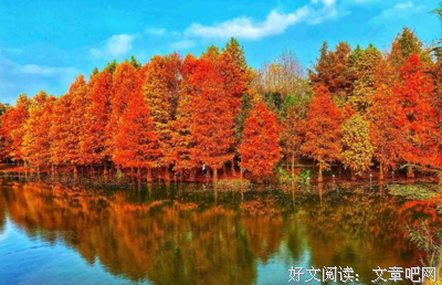 墨杉Zip的优美句子