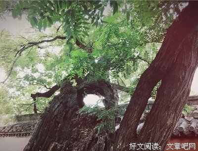故乡经典名句