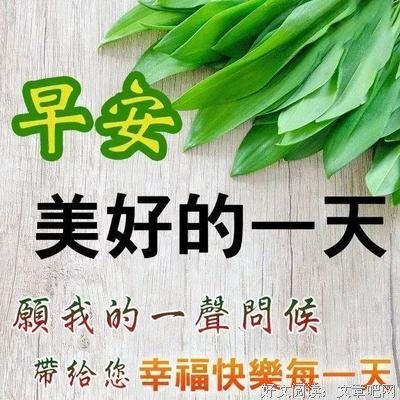 美丽优美的句子