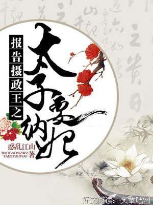 报告摄政王之太子要纳妃经典的句子