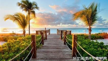安意如的句子