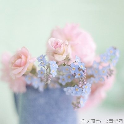 仙女社长优美的句子