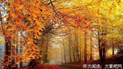 感同不中到过我受的句子