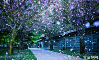 白落梅合集的句子