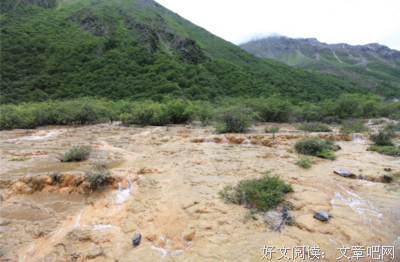 纪德经典名句