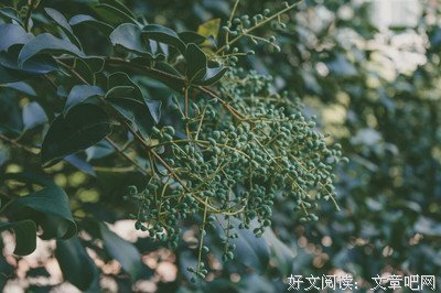 马冬梅名言
