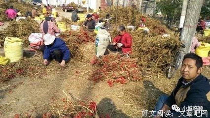 《靖大爷和他的老主顾们》影评摘抄