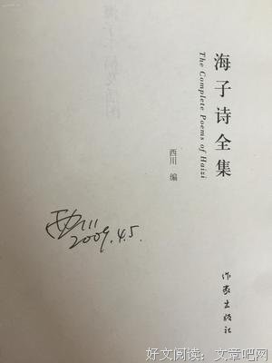 《海子的诗》读后感1000字