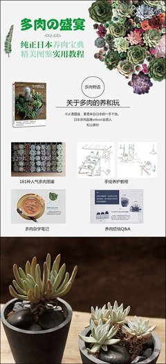 大逆袭多肉就这么玩读后感1000字