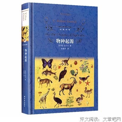 《基因传（精装版）》的读后感大全