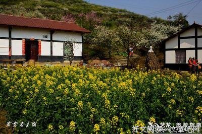 万物归一读后感1000字