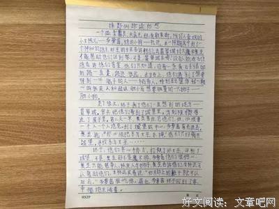 《神兽引领的使命》读后感摘抄