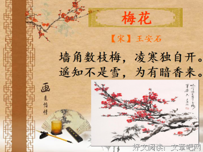 在这世界的角落读后感1000字
