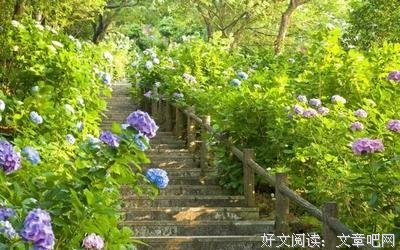 关于草长莺飞的唯美语录