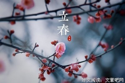 《立春》观后感精选