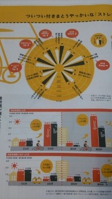 《相棒 第4季》观后感摘抄