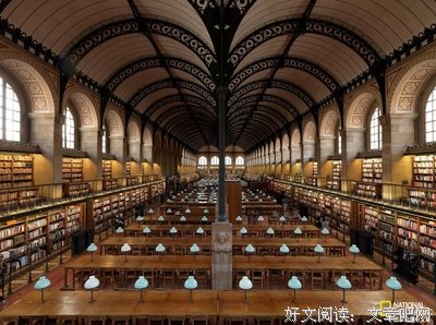 《图书馆战争》影评100字