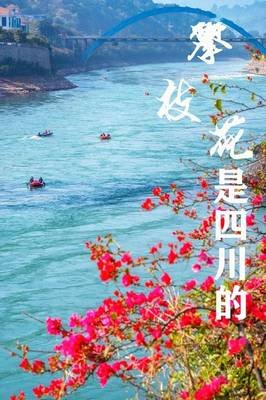 柯寒语录