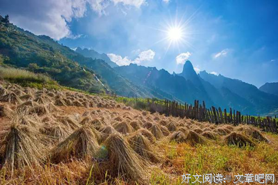 漫时物将影途经典名句