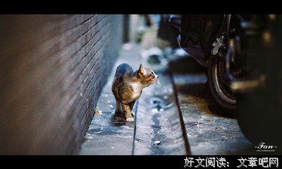 关于一念执着的句子