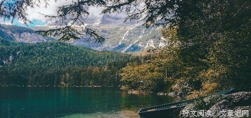 《爱情感悟》的句子